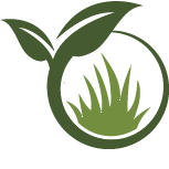 Cactus Garden Planting Pros