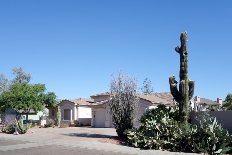 Cactus Garden Planting
