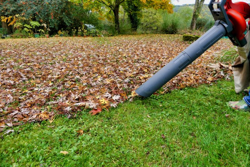 Clean Property with Leaf Removal