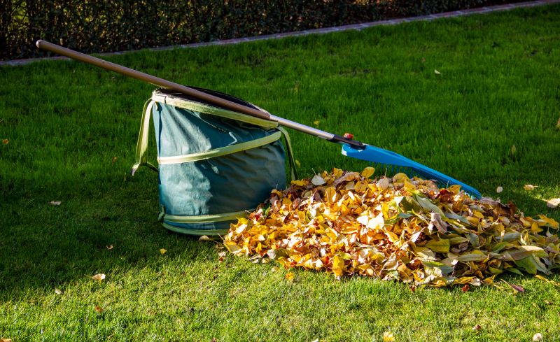 Disposal of Collected Leaves