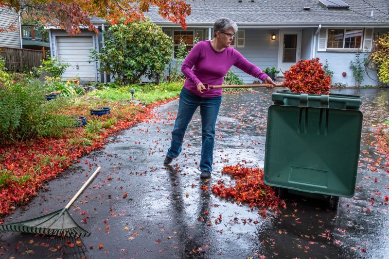 Yard After Leaf Clearing