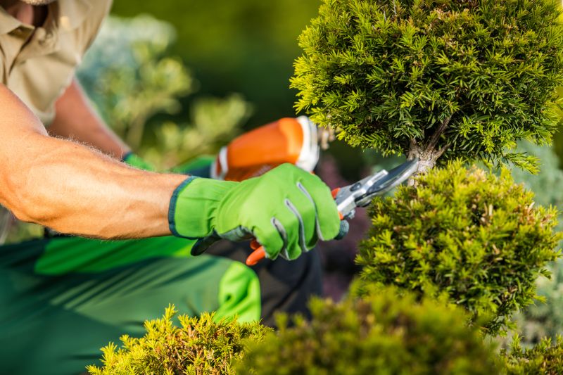 Local Gardening Services
